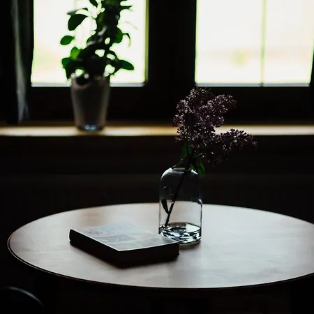 Maciejowy Dwor 公寓 *