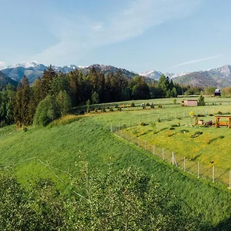 Maciejowy Dwor 扎科帕内