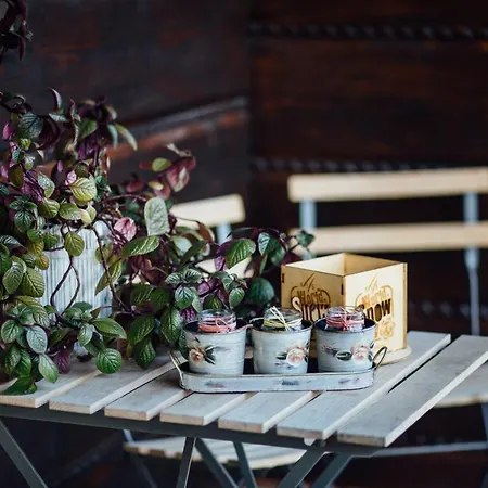 公寓 Maciejowy Dwor 扎科帕内