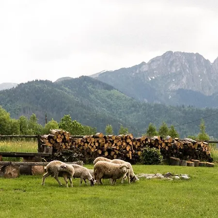 Maciejowy Dwor 公寓 *